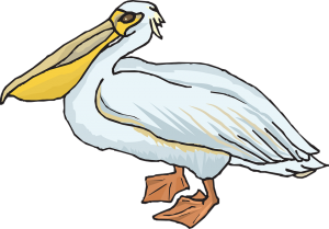 Pelican PNG-46580